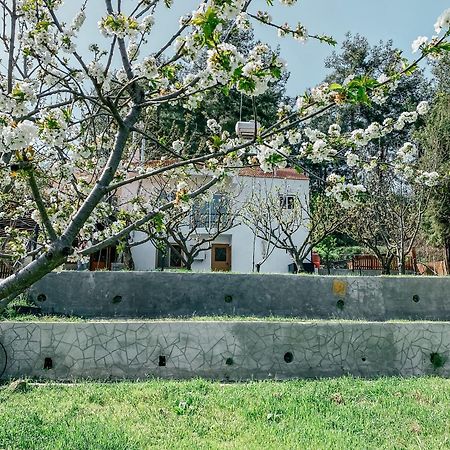 Milea Mansion Βίλα Λεμεσός Εξωτερικό φωτογραφία
